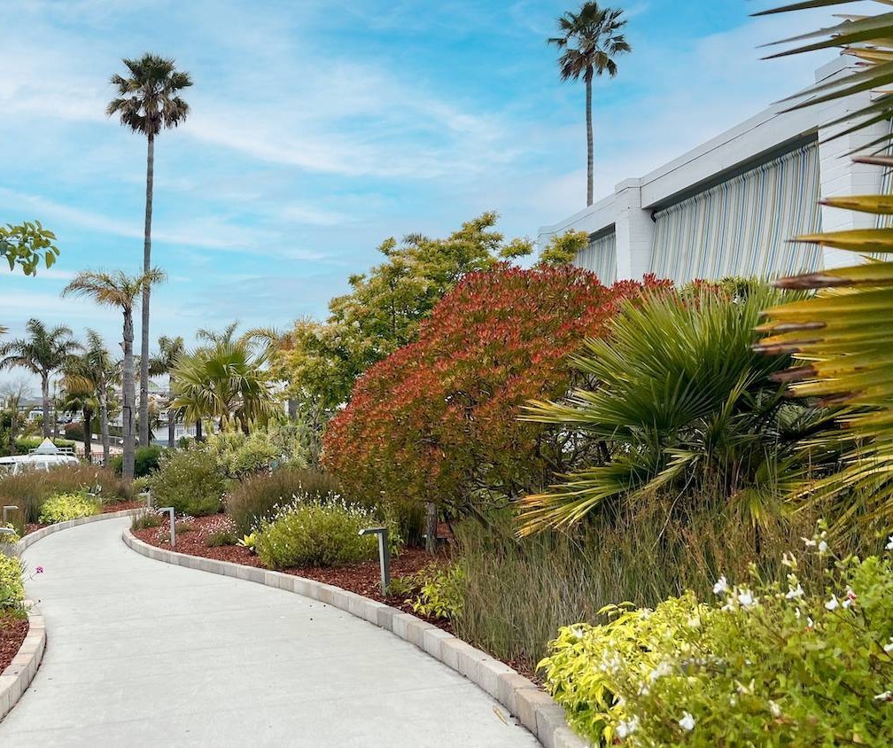 Coastal commercial landscape design with curved walkway and tropical plantings by K&D Landscaping