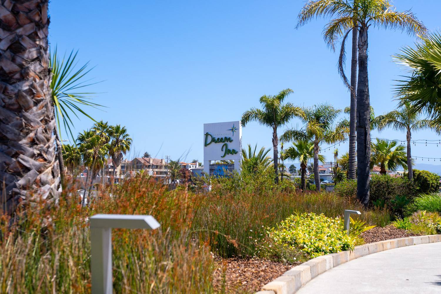 Coastal landscape bed featuring palms, ornamental shrubs, and pedestrian pathways maintained by K&D Landscaping-1