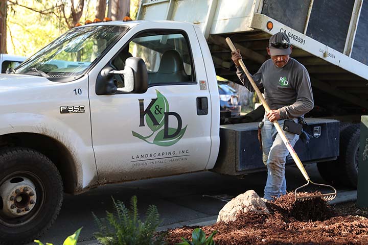 Commercial landscape maintenance with flowering plants and drought-tolerant greenery by K&D Landscaping