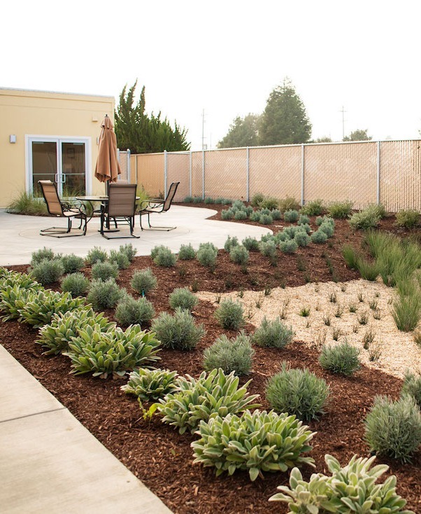 Defensible space awareness and landscape maintenance solutions by K&D Landscaping-1