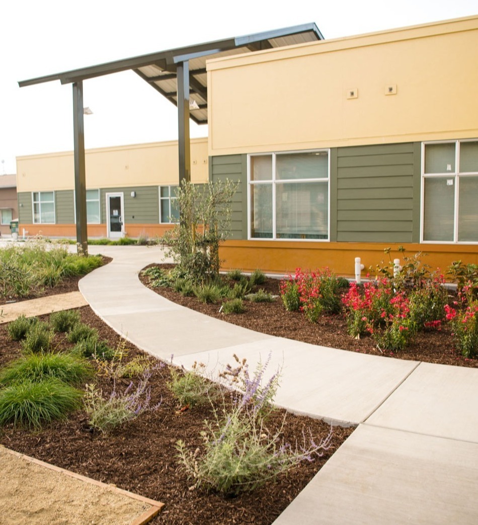 Healthcare facility landscape installation with ornamental grasses, flowering plants, and site improvements by K&D Landscaping-1