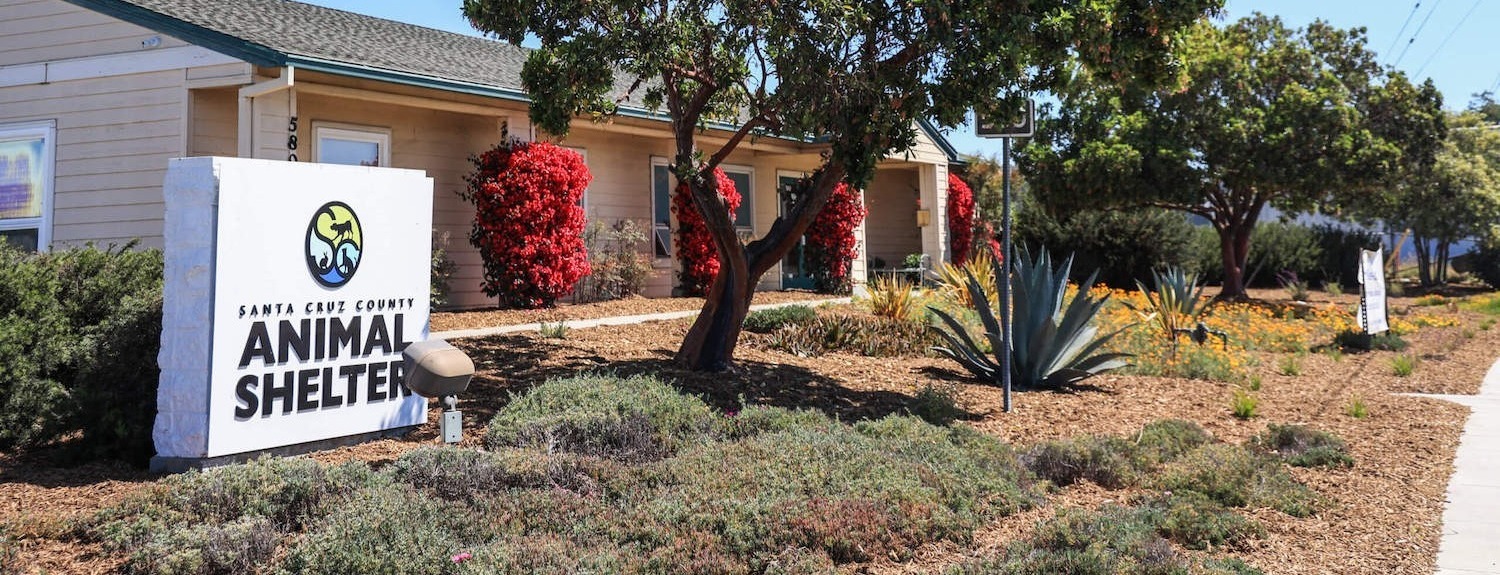 Residential community landscape installation completed by K&D Landscaping for an animal shelter