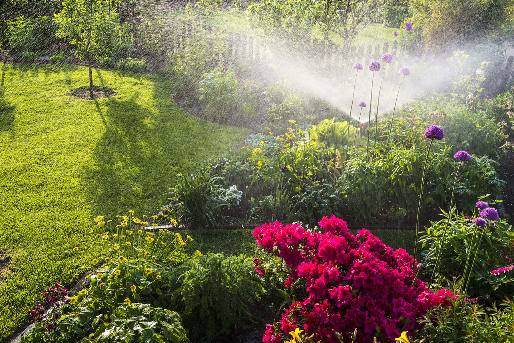 water management services