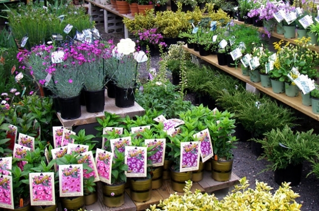 landscape soil preparation