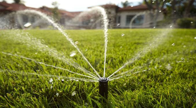 proper irrigation