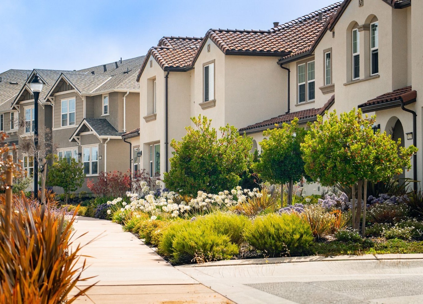 K&D Landscaping HOA community entrance landscape with colorful drought tolerant plantings and residential streetscape K&D Landscaping HOA community entrance landscape with colorful drought tolerant plantings and residential streetscape