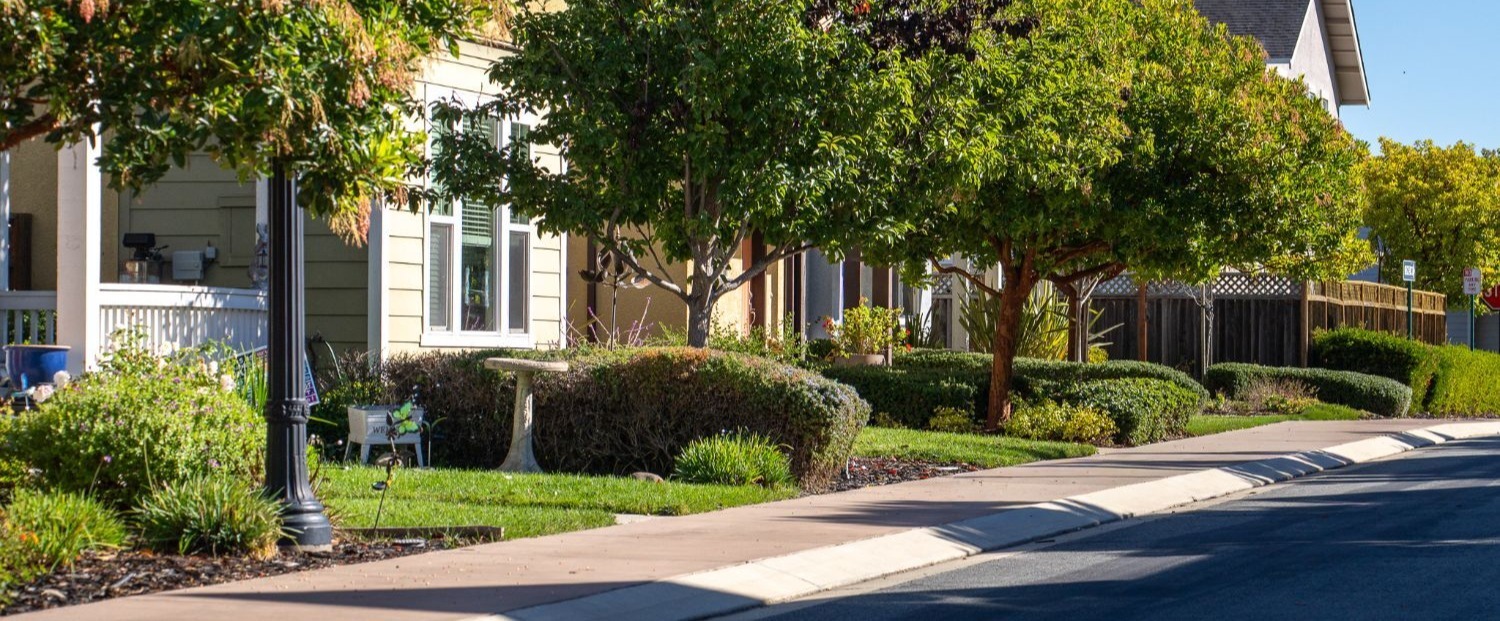 K&D Landscaping residential streetscape with mature trees maintained shrubs and HOA landscape management