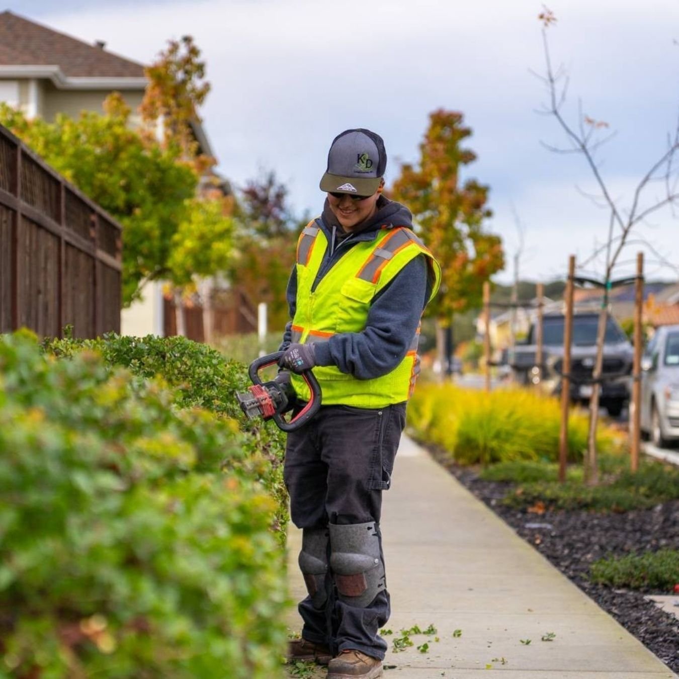 K&D Landscaping team member trimming hedges along a residential streetscape-1