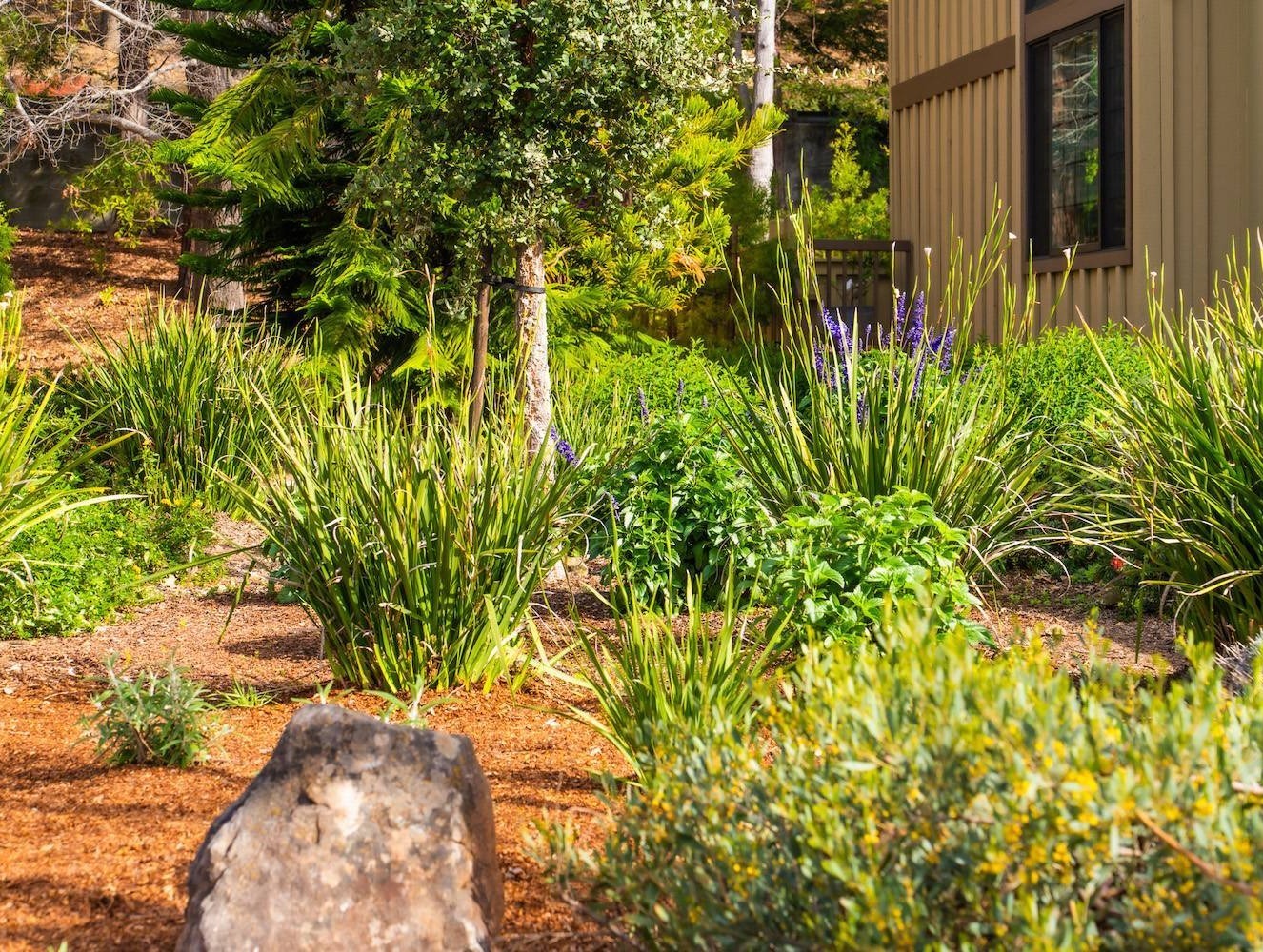 Landscape maintenance for an HOA community by K&D Landscaping