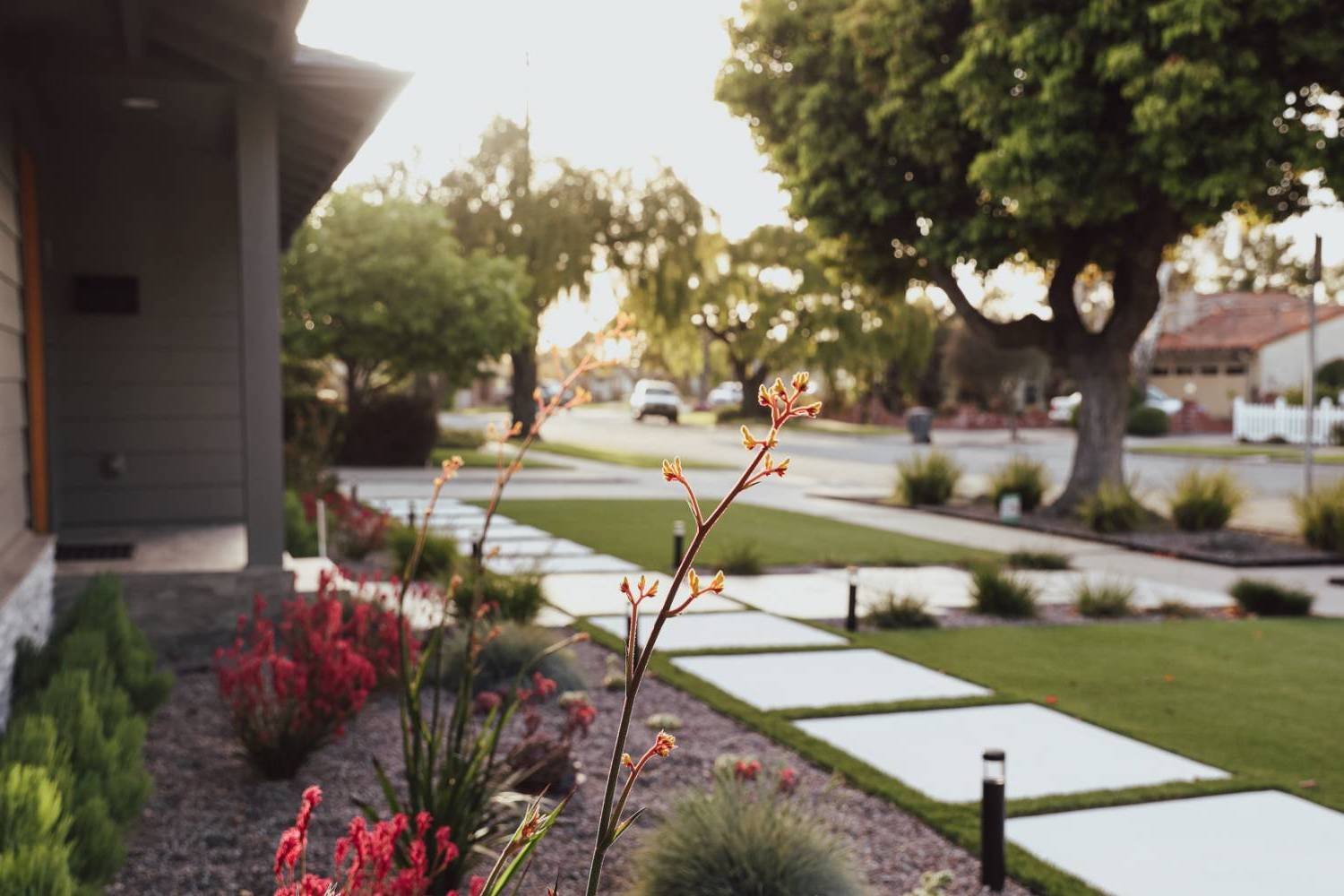 Modern front yard landscape with concrete pavers and drought-tolerant plantings installed by K&D Landscaping-1