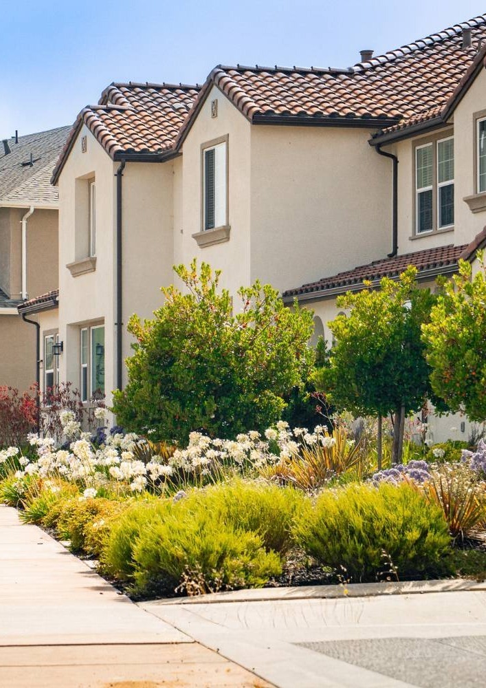 Residential streetscape landscape featuring flowering plants and trees maintained by K&D Landscaping