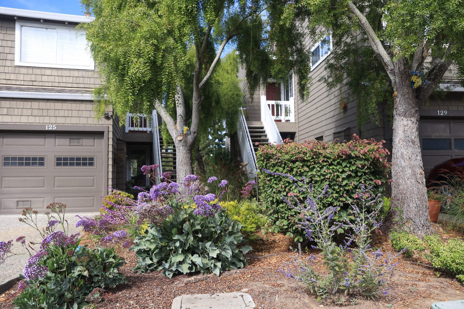landscape-maintenance-costs-scaled