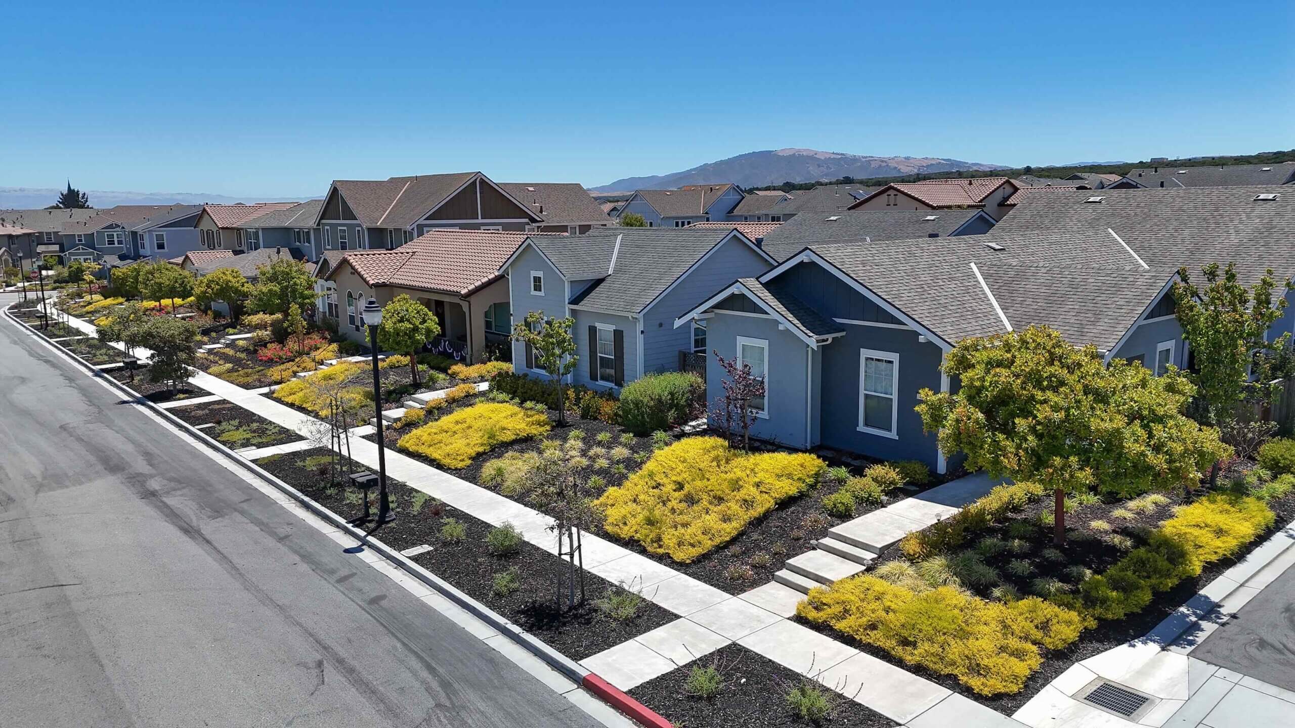 A row of residential houses