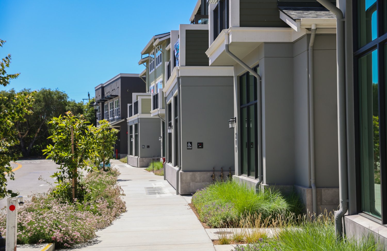 Apartment community entry landscape with shrubs and groundcover installed by K&D Landscaping