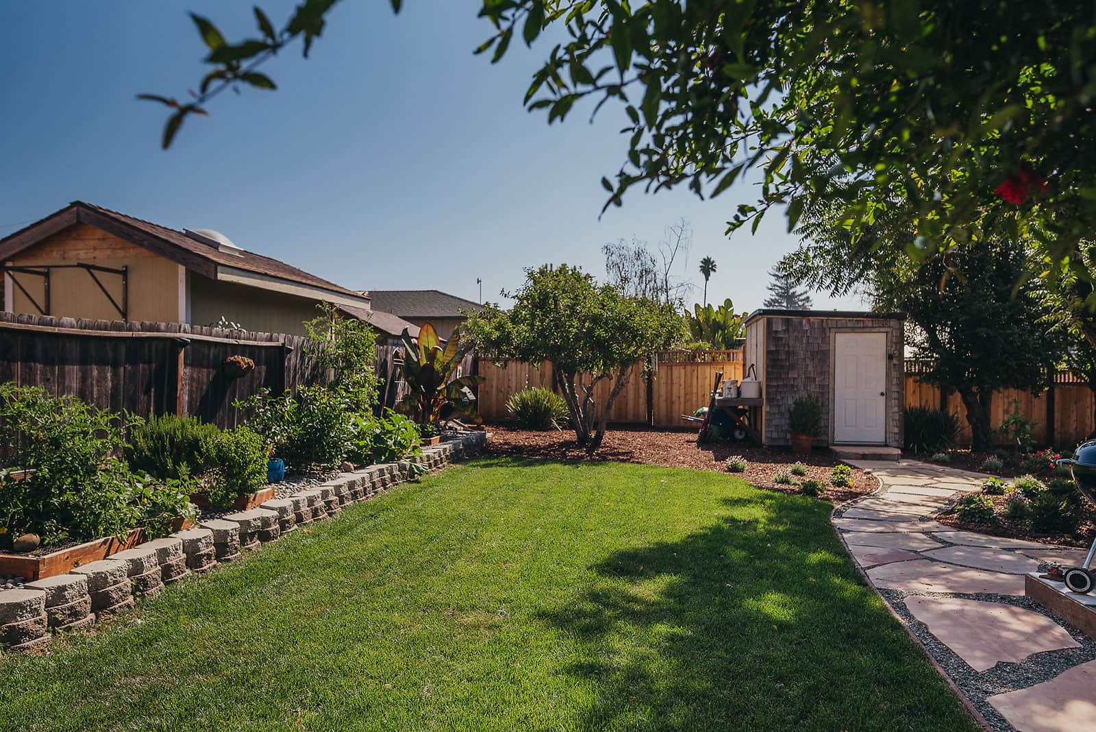 Backyard landscape featuring fruit-bearing trees, metal edging, lawn area, and mature shade trees installed by K&D Landscaping-1