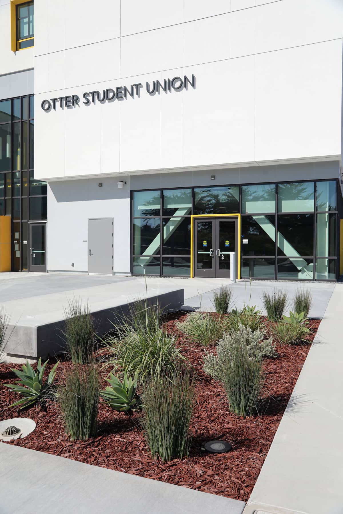 Campus landscape featuring native plants and irrigation solutions by K&D Landscaping