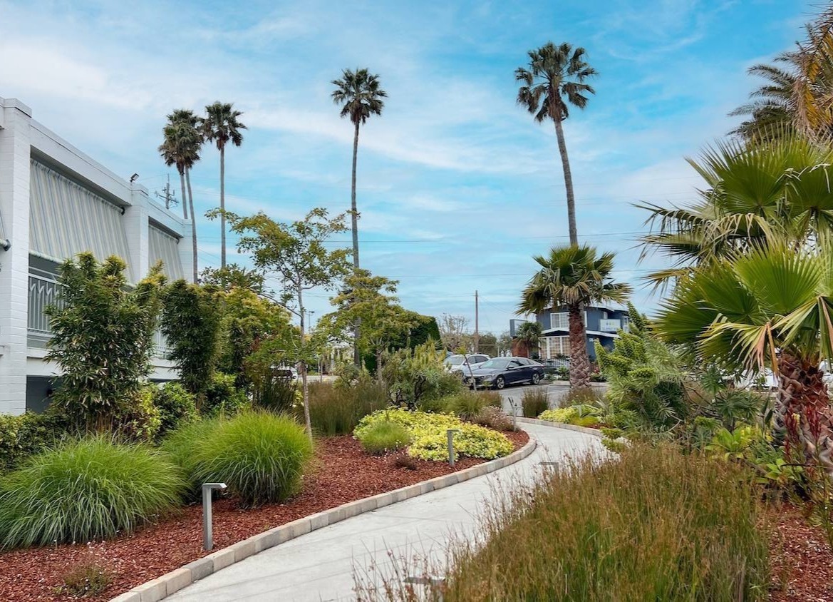Coastal commercial landscape design with water-wise plantings and landscaped walkways by K&D Landscaping-1