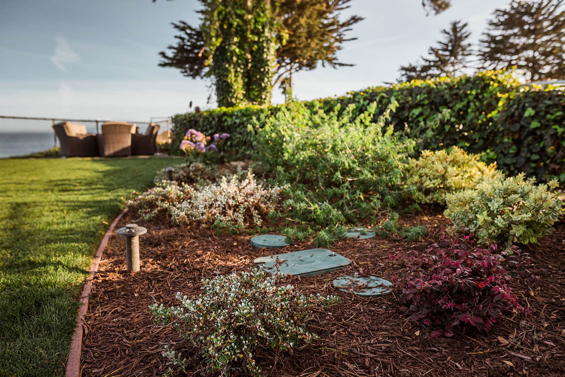 Coastal garden bed with white-flowering perennials, ornamental grasses & mulch maintained by K&D Landscaping
