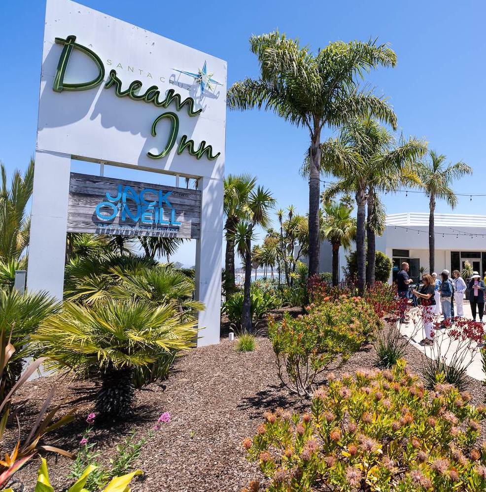 Detail of the landscaped walkway at Dream Inn