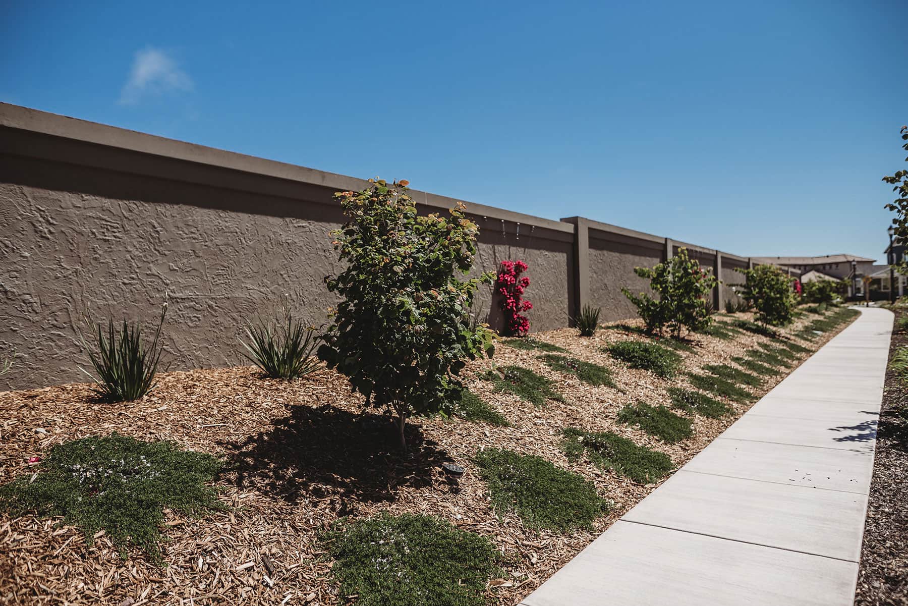 Commercial building exterior with concrete pathway, gravel planting beds, and ornamental landscape design by K&D Landscaping