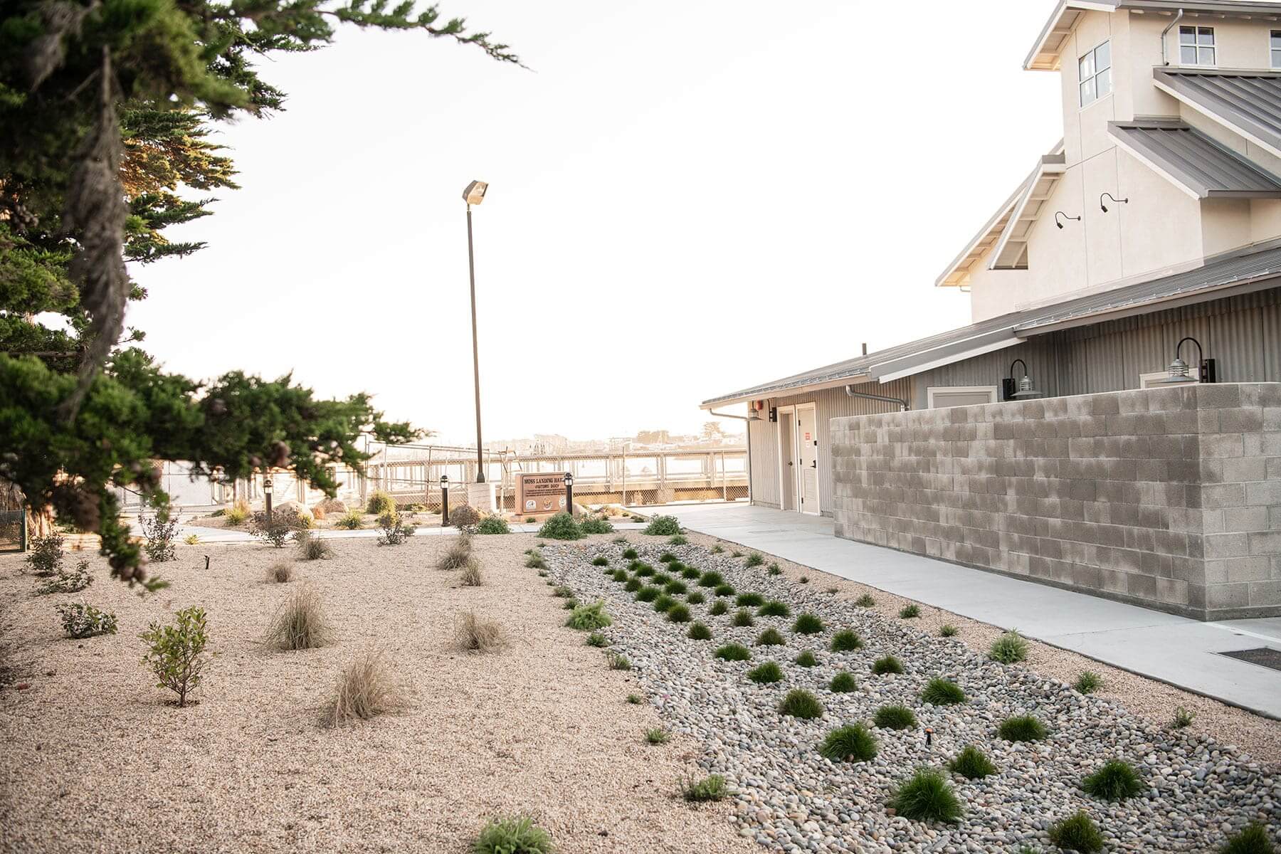Commercial landscape installation featuring native plants, gravel groundcover, and pedestrian access improvements by K&D Landscaping