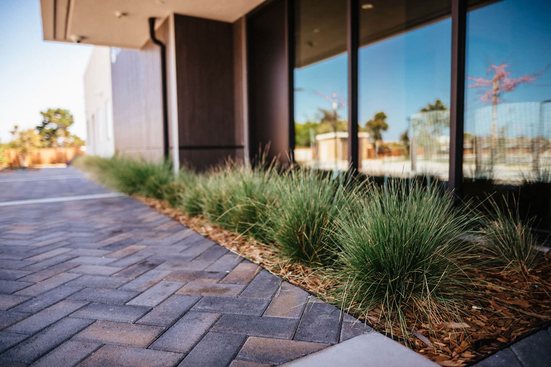 Commercial landscape installation featuring ornamental grasses, paver walkways, and modern building landscaping by K&D Landscaping