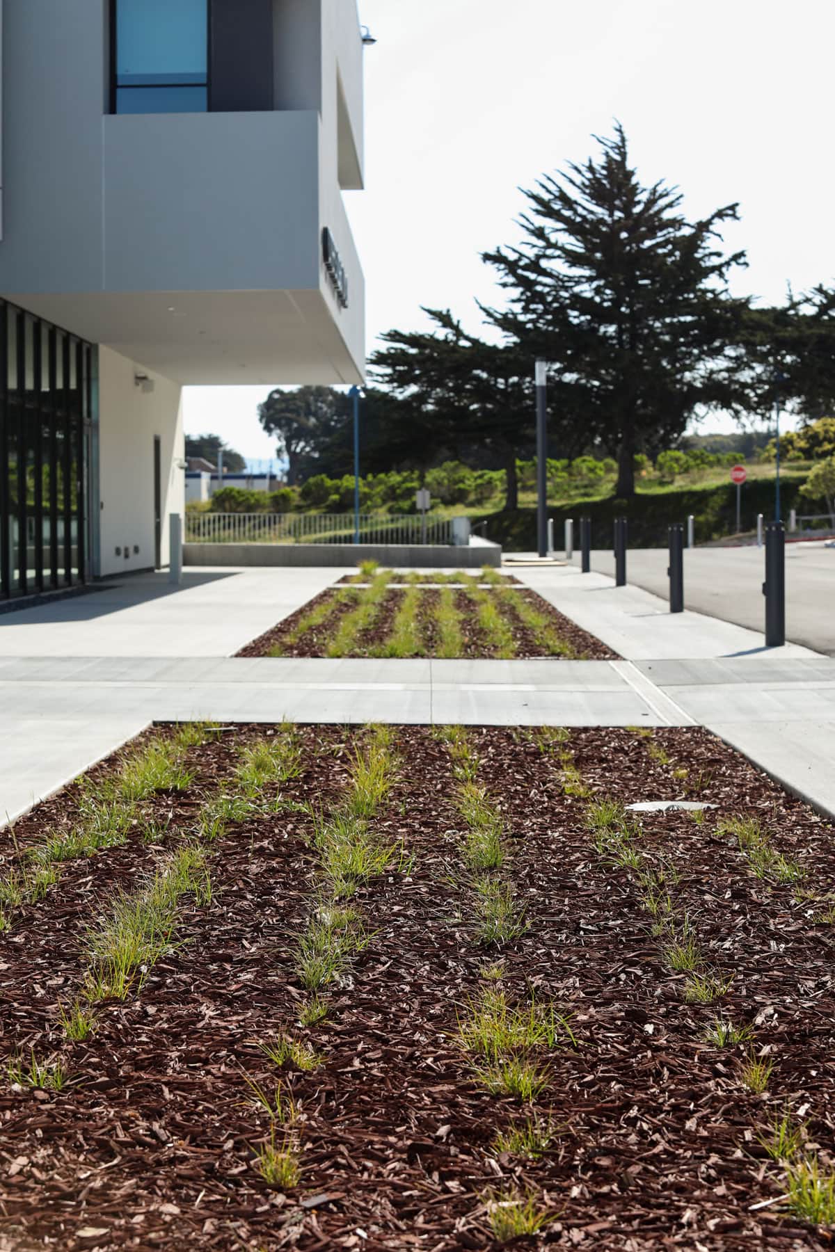 Commercial landscape installation surrounding the CSUMB Student Union by K&D Landscaping