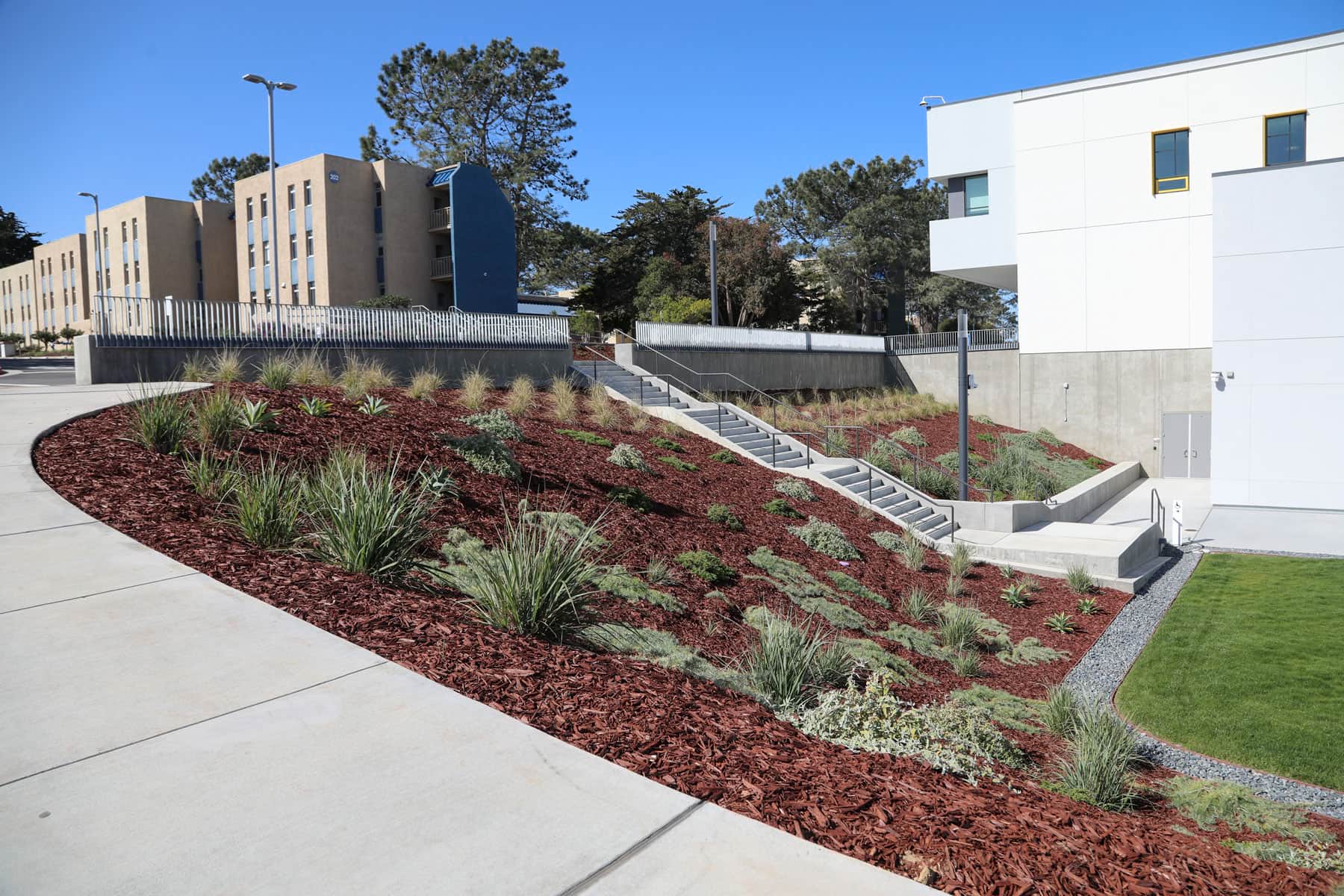 Commercial landscape project with hydroseeded turf and mulch beds by K&D Landscaping