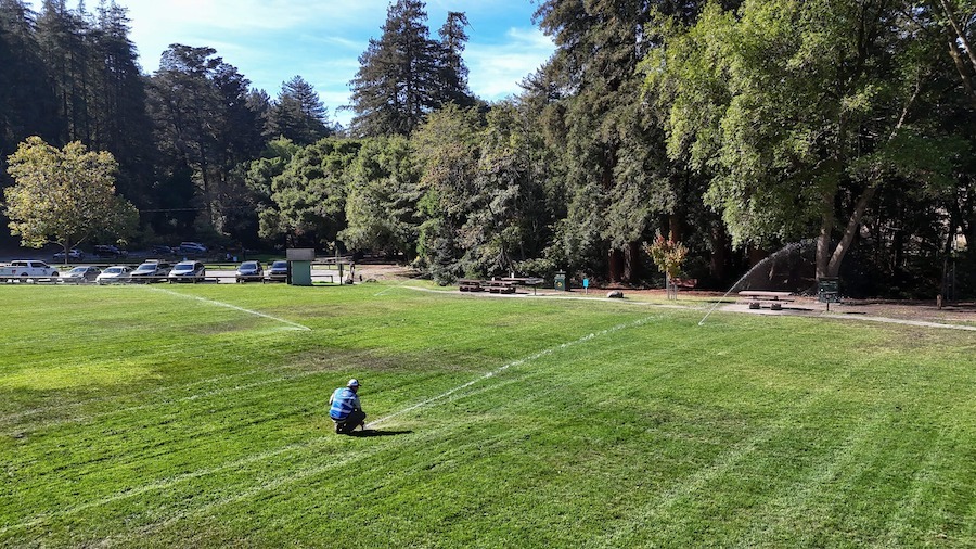 Commercial property landscape featuring efficient irrigation and healthy plant growth by K&D Landscaping