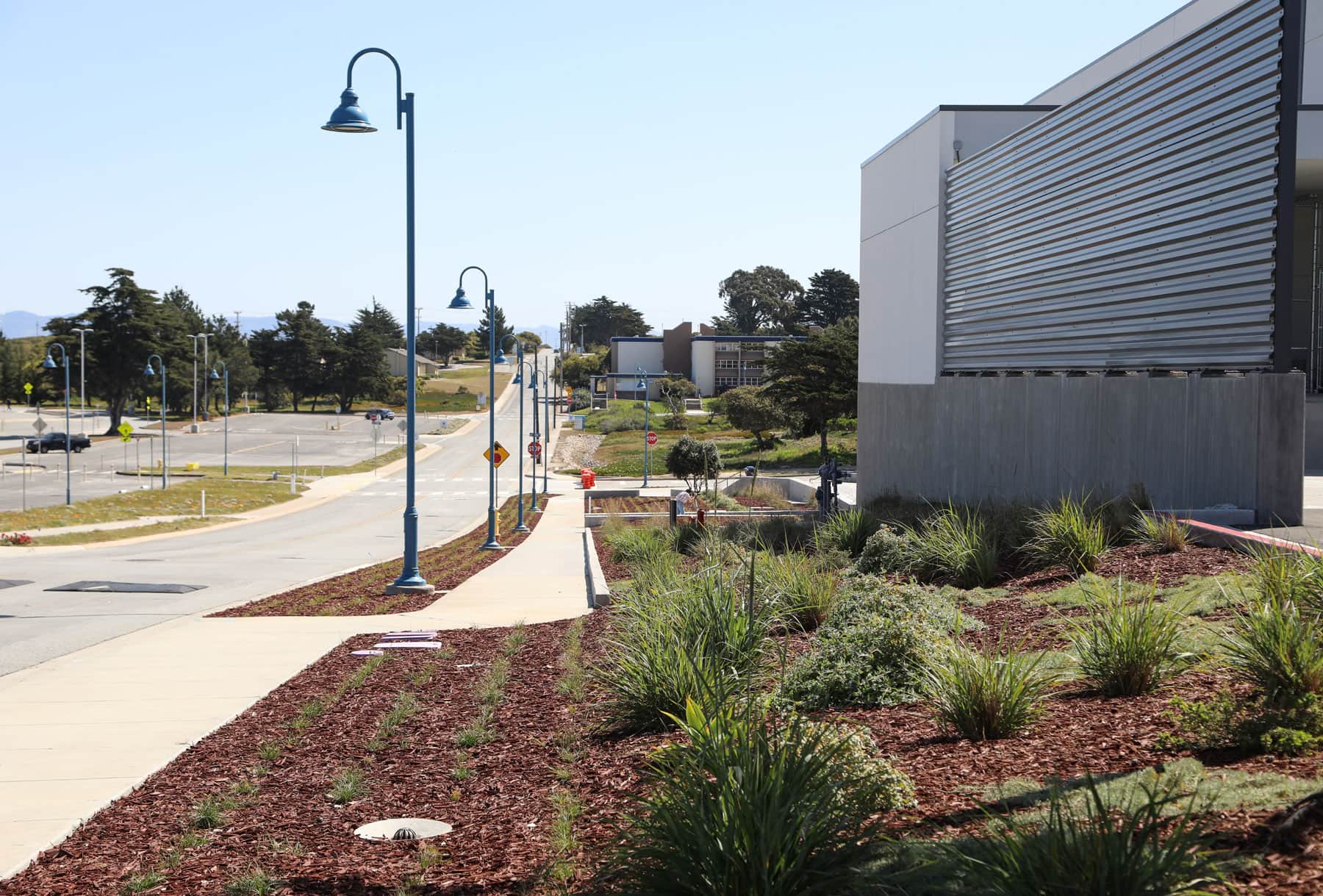 Commercial property landscape with mahogany mulch and drought-tolerant vegetation by K&D Landscaping