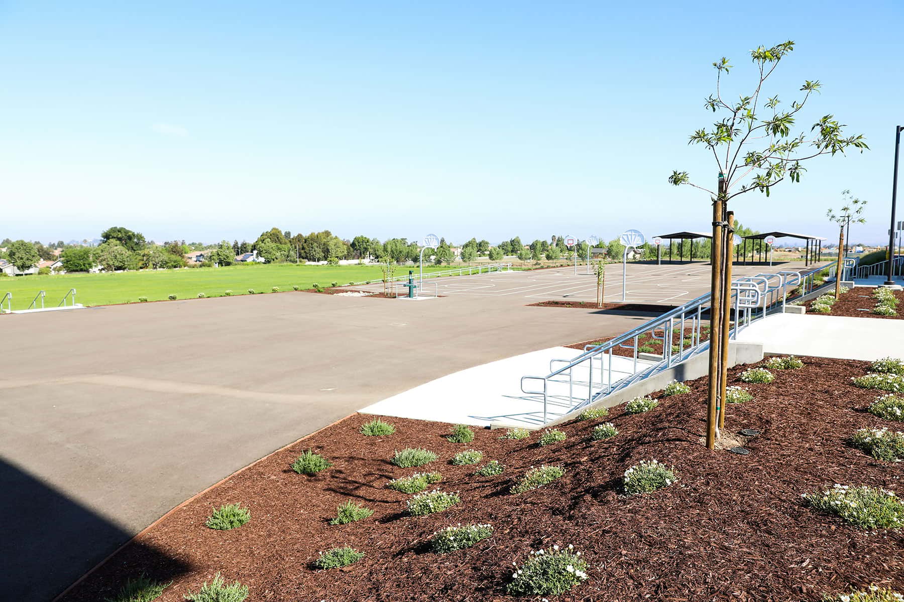 Commercial school courtyard with lawn areas and landscape improvements by K&D Landscaping