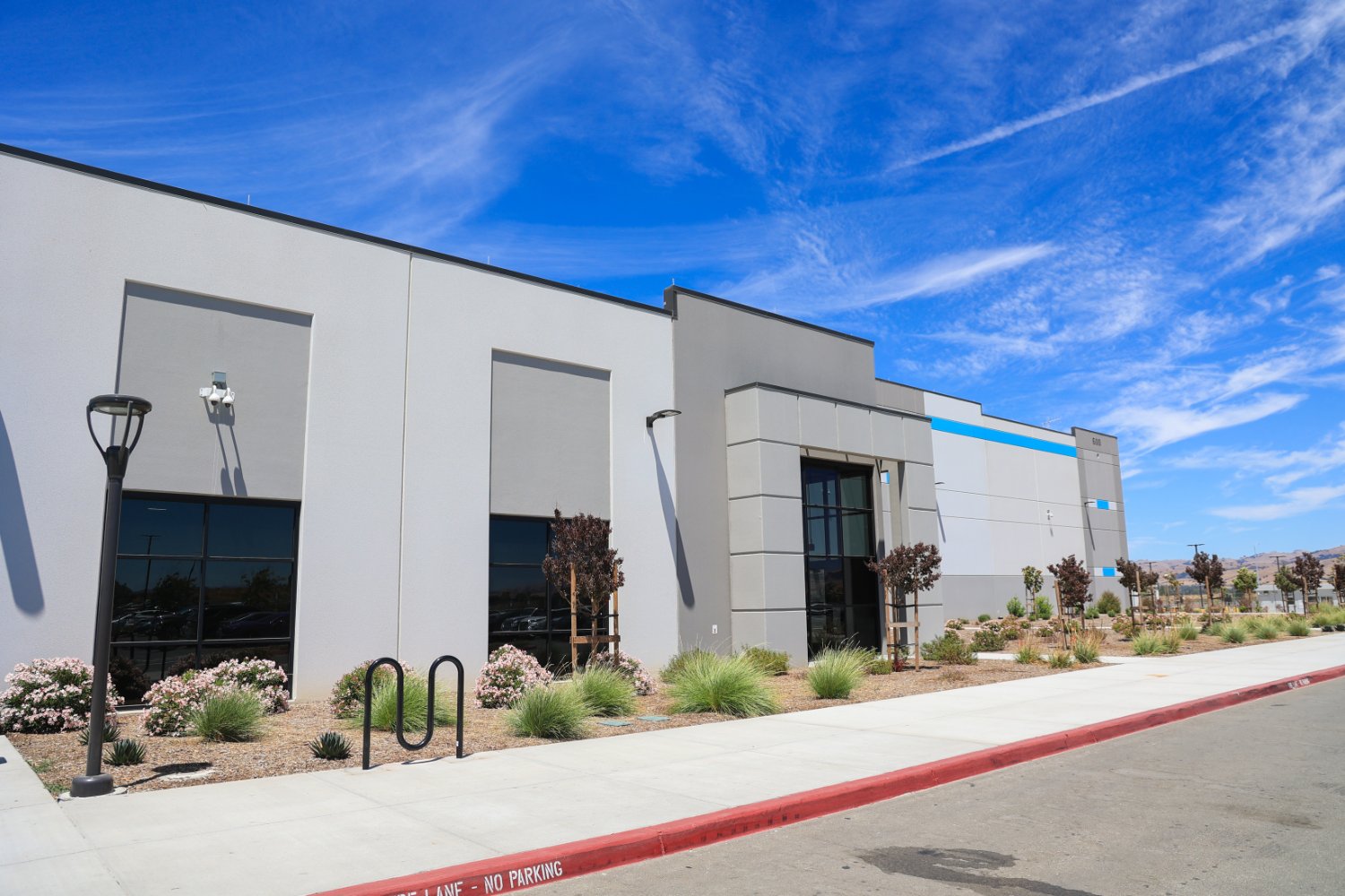 Commercial streetscape installation completed by K&D Landscaping with coordinated planting design