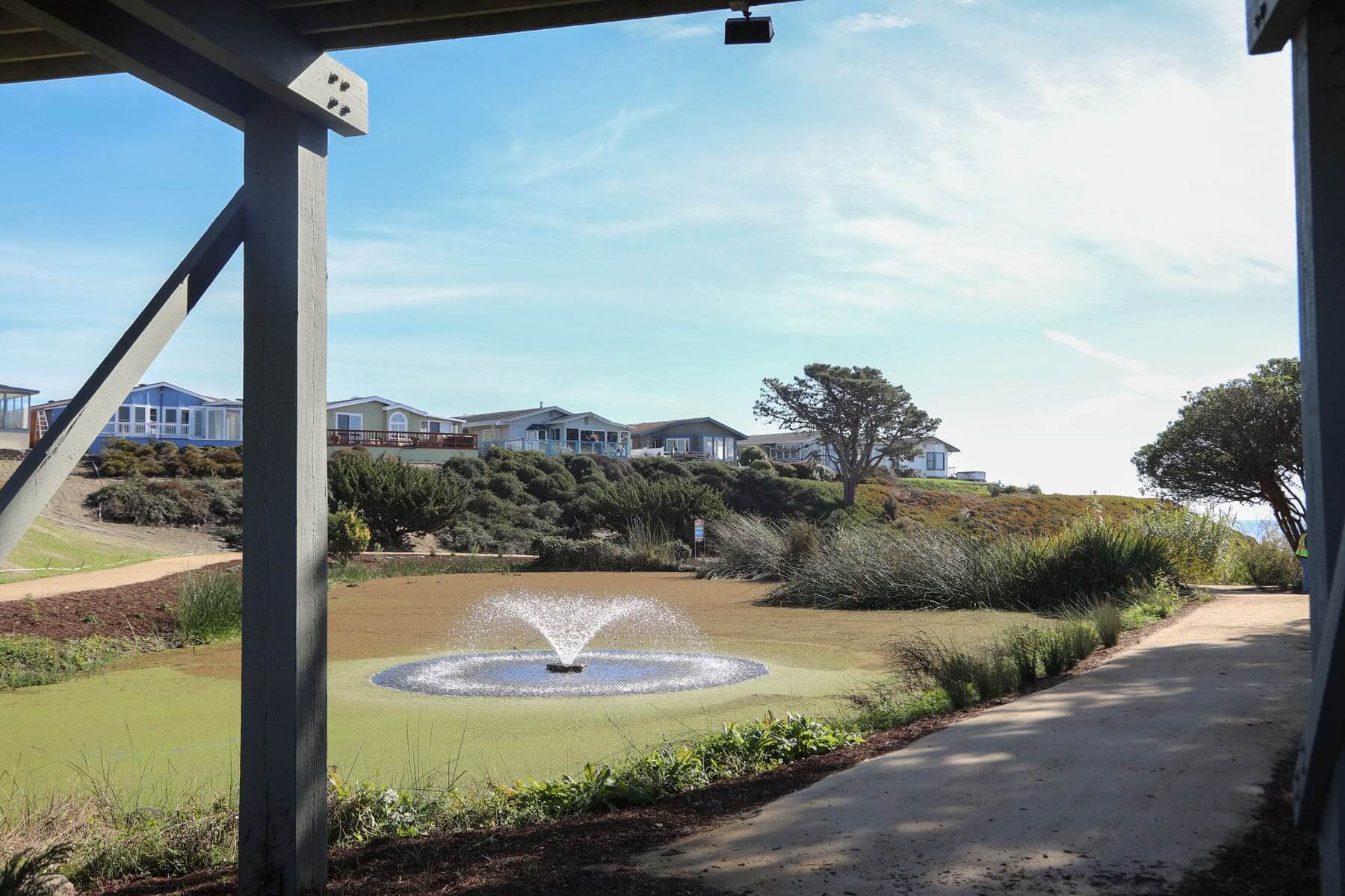 Community green space featuring drought-conscious landscape improvements by K&D Landscaping