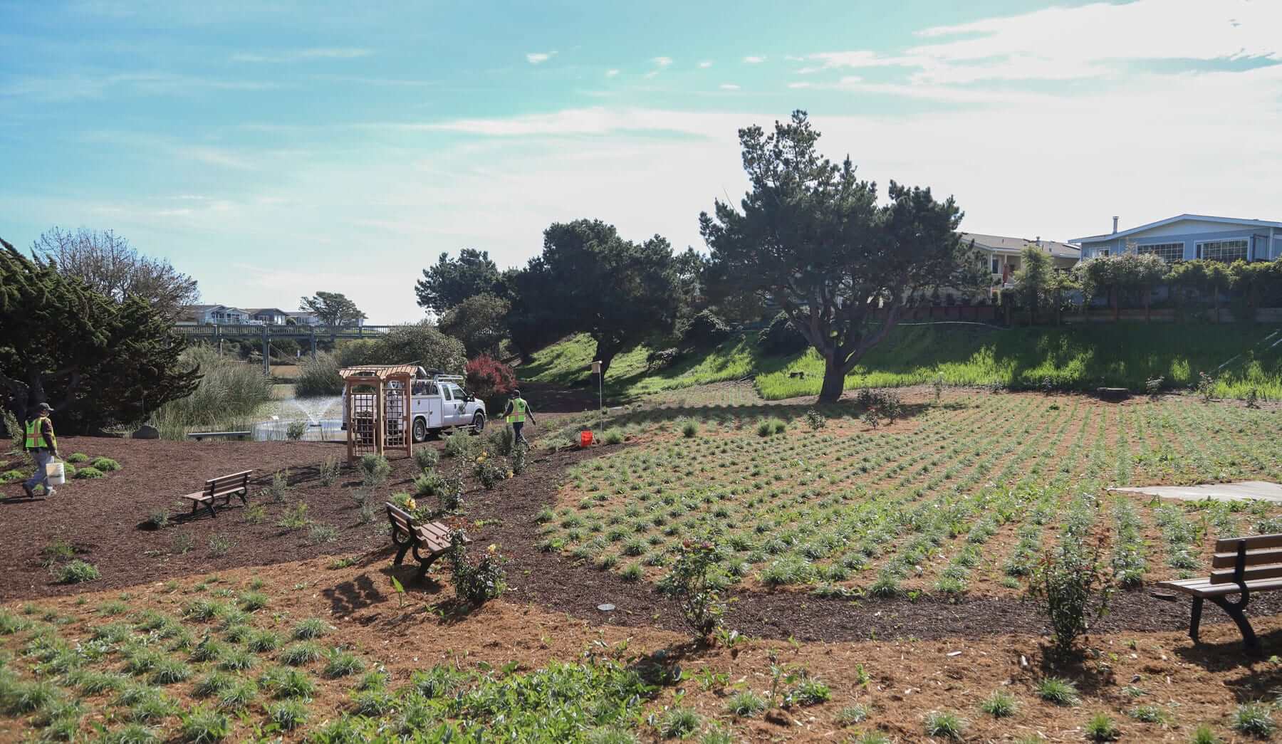 Community park planting installation completed by K&D Landscaping