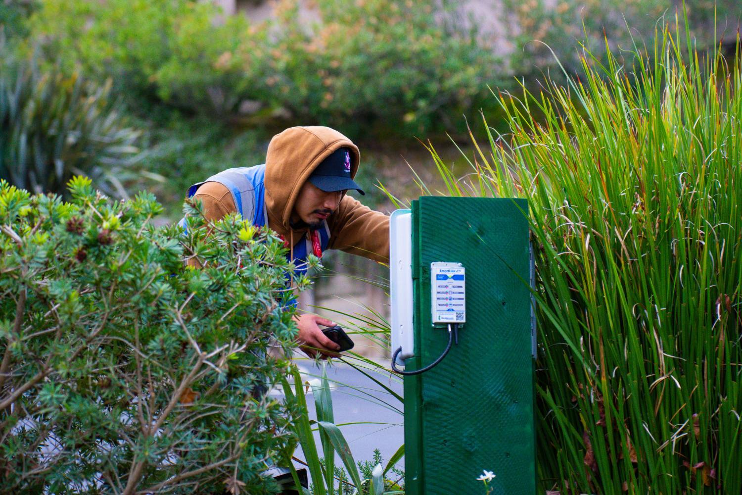 Community-wide landscape maintenance provided by K&D Landscaping across shared residential spaces