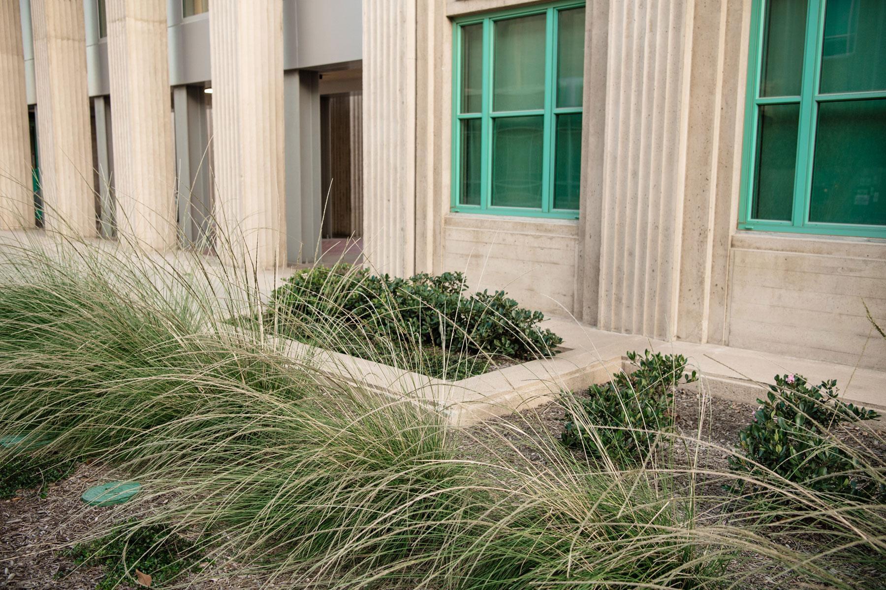 Courtyard entry to government building with ornamental grasses, low plantings, and architectural stone features installed by K&D Landscaping