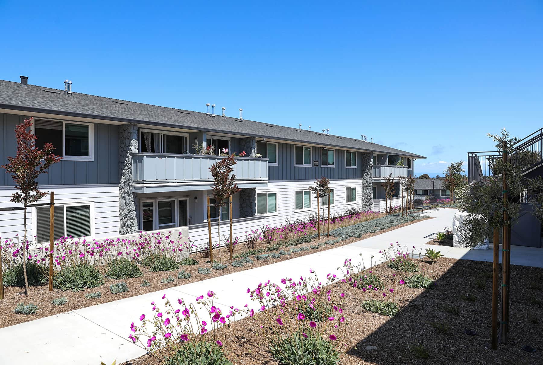 Courtyard landscape improvements at a multifamily residential community by K&D Landscaping