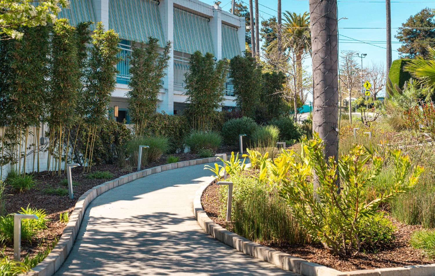 Curved pedestrian walkway bordered by landscape plantings maintained by K&D Landscaping