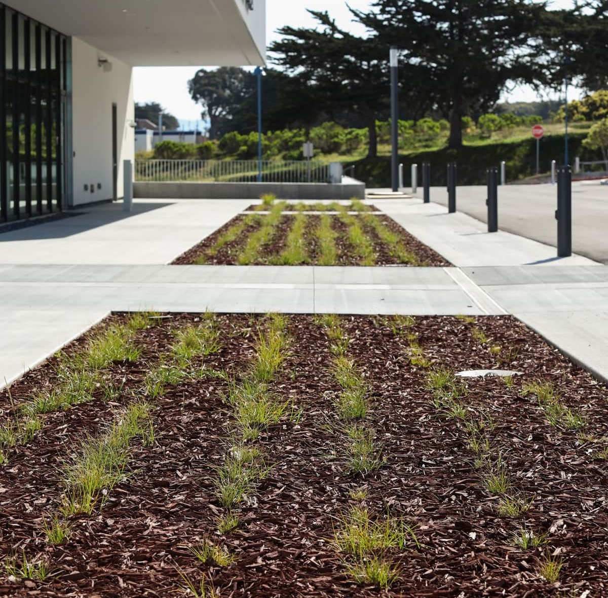 Landscape maintenance crew reducing overgrowth and fire fuel sources by K&D Landscaping