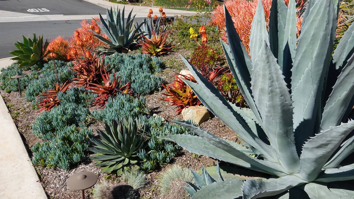 Landscape fire mitigation work focused on vegetation control and site safety by K&D Landscaping