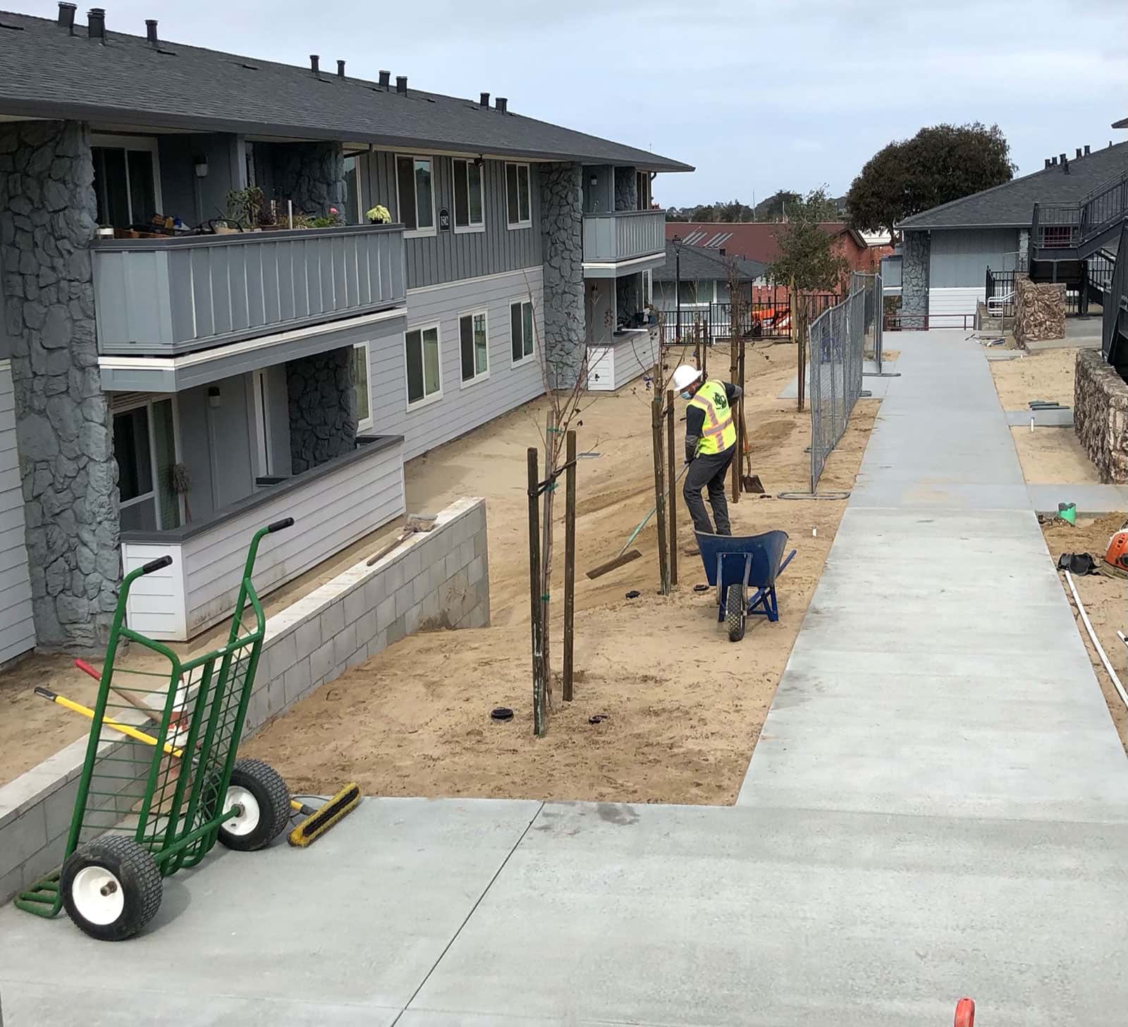 Flowering landscape installation at a multifamily housing development by K&D Landscaping