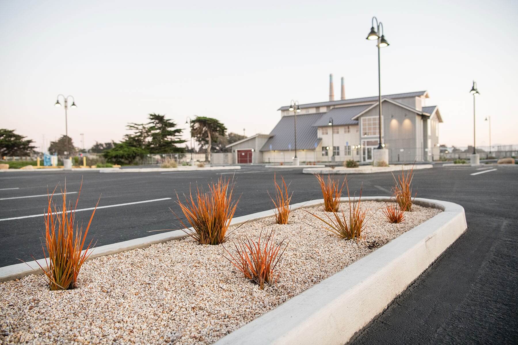 Gravel landscape bed with ornamental grasses and commercial site planting installed by K&D Landscaping