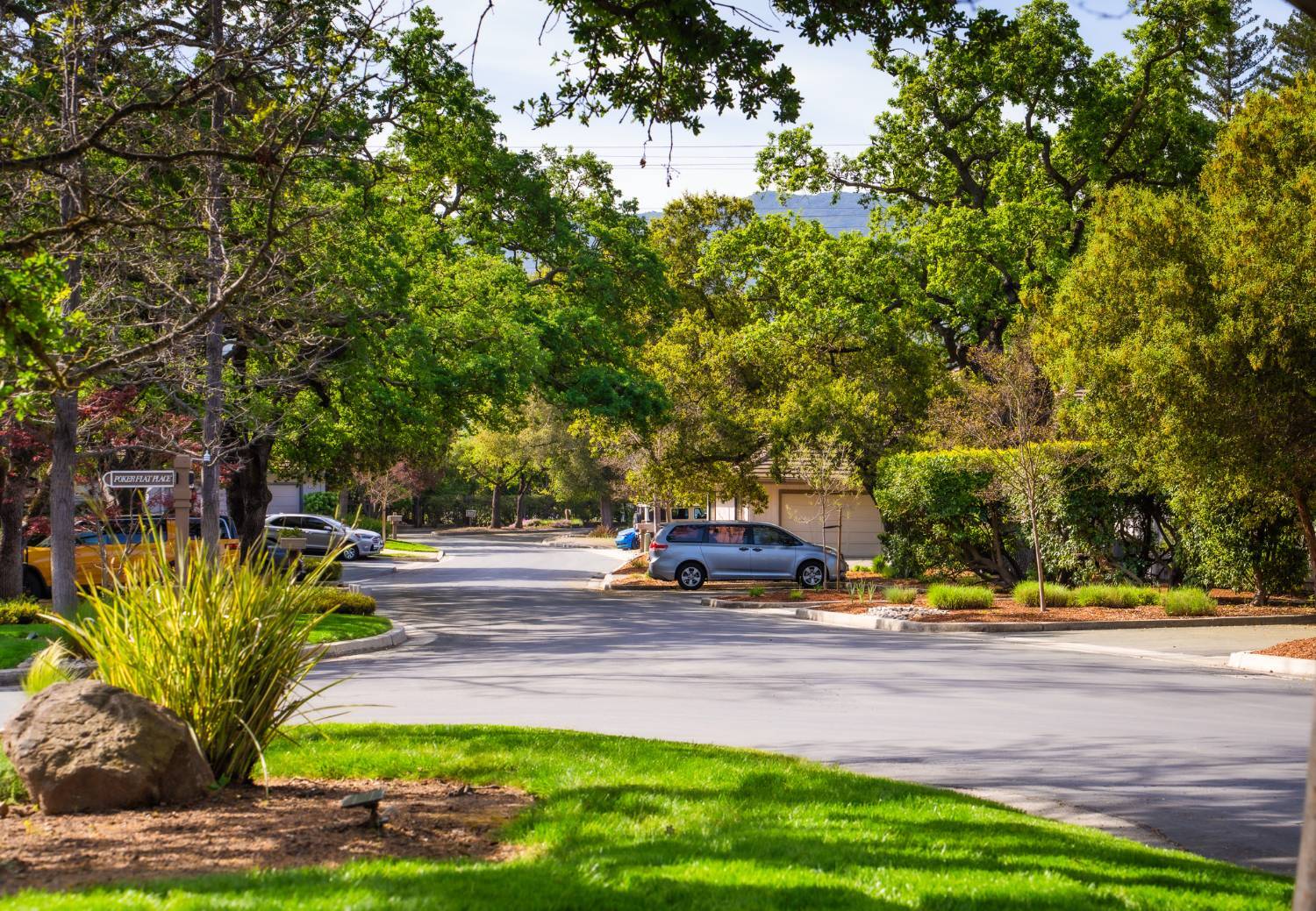 HOA landscape refresh completed by K&D Landscaping while preserving mature trees and character