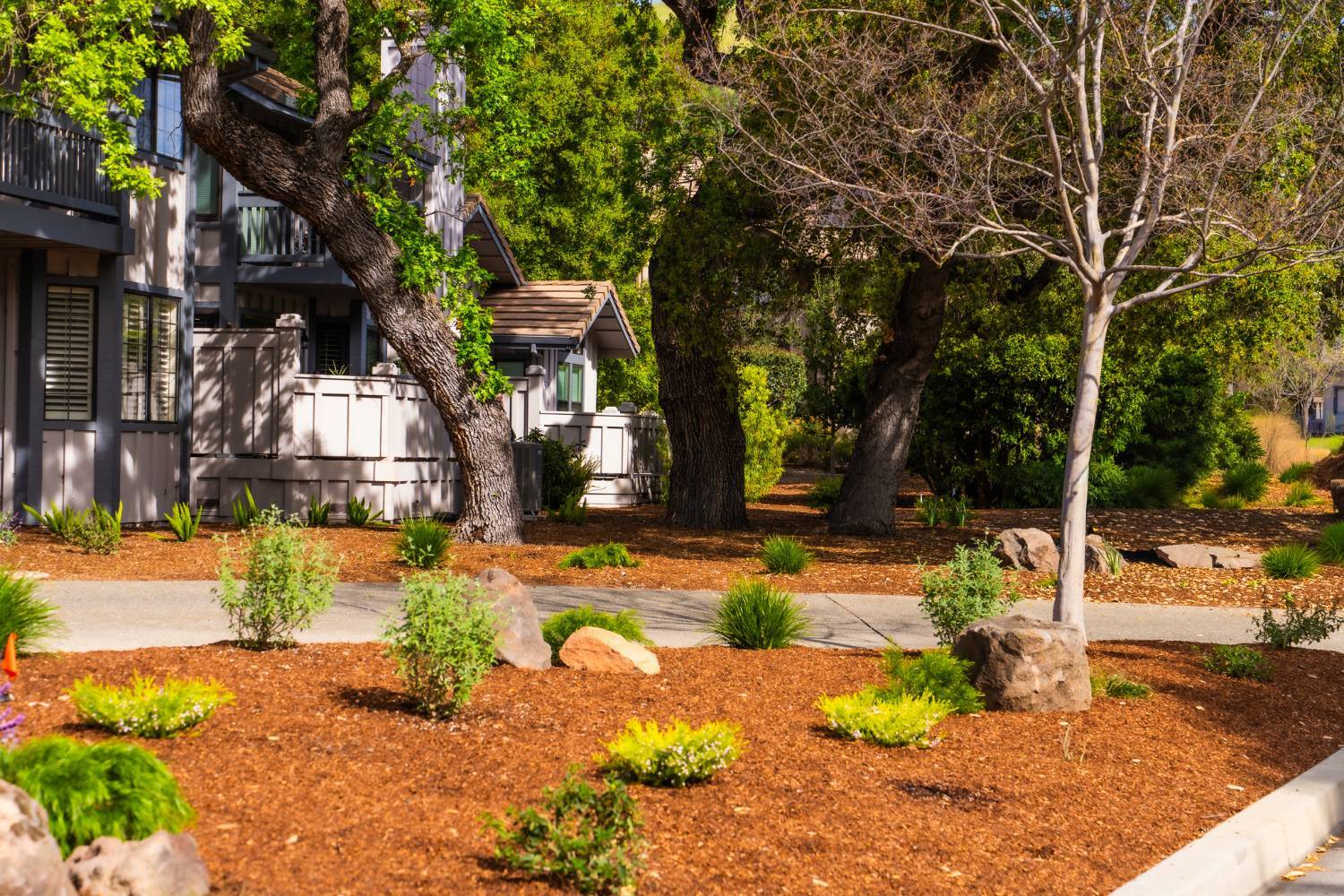 HOA streetscape managed by K&D Landscaping featuring ornamental plantings and tree-lined roadways