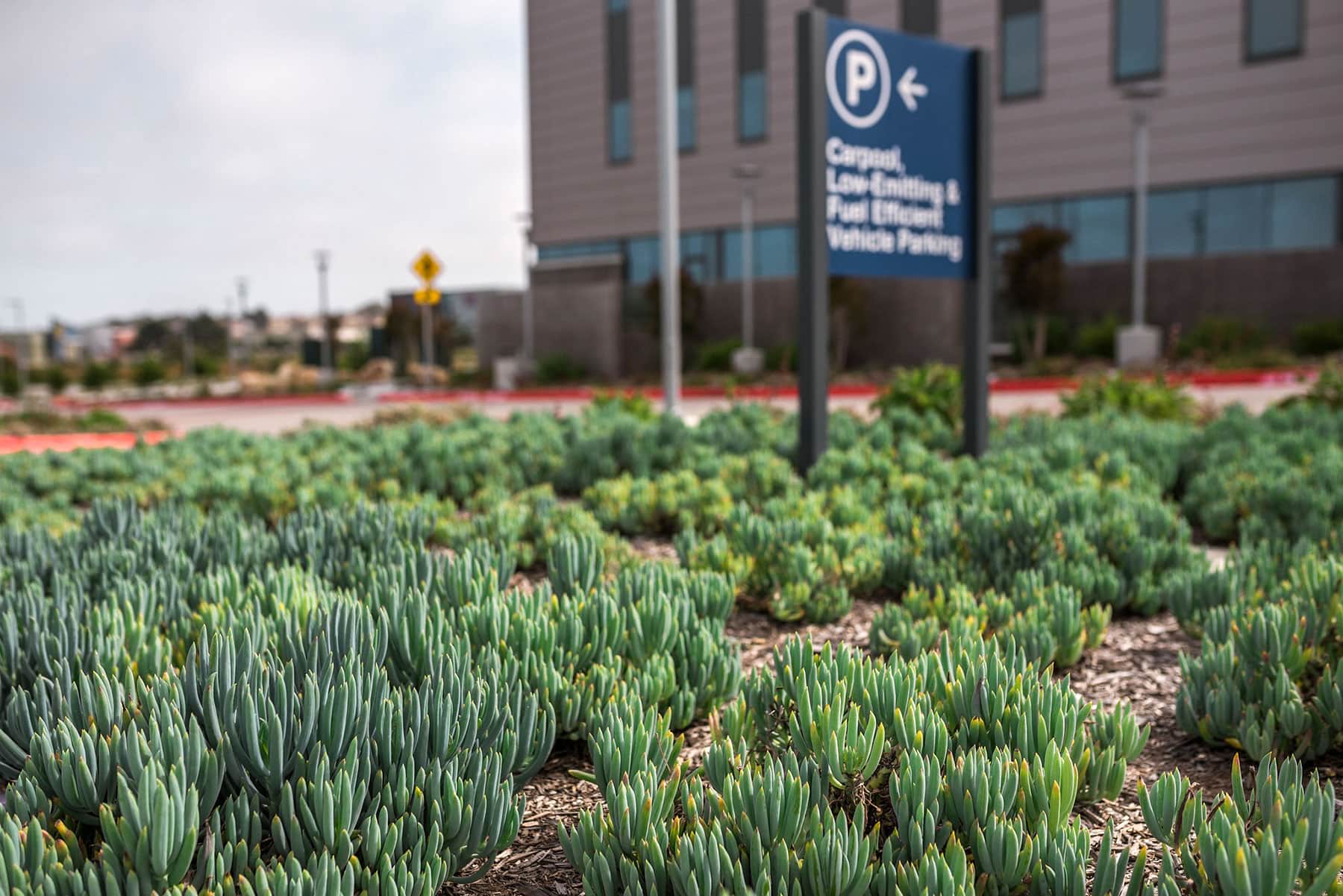 K&D Landscaping Major General William H. Gourley VA-DoD Outpatient Clinic building entrance with landscape design