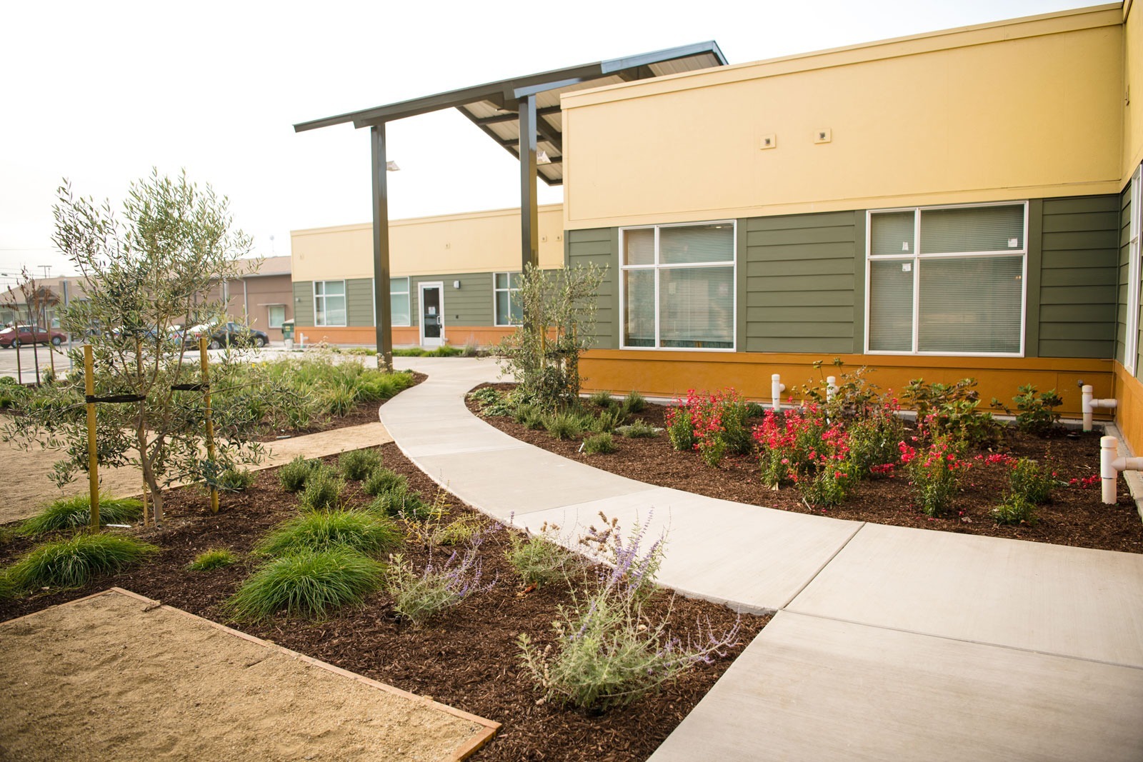 K&D Landscaping accessible entry landscape with butterfly art mural, parking area, and commercial site plantings