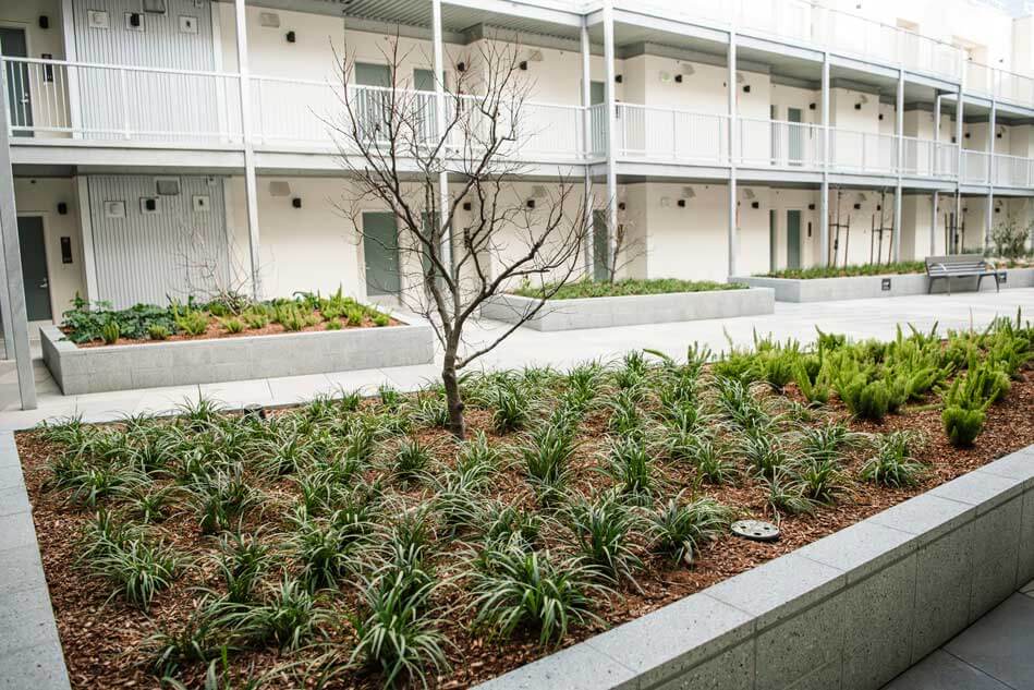 K&D Landscaping apartment community courtyard with raised landscape planters and drought tolerant plantings