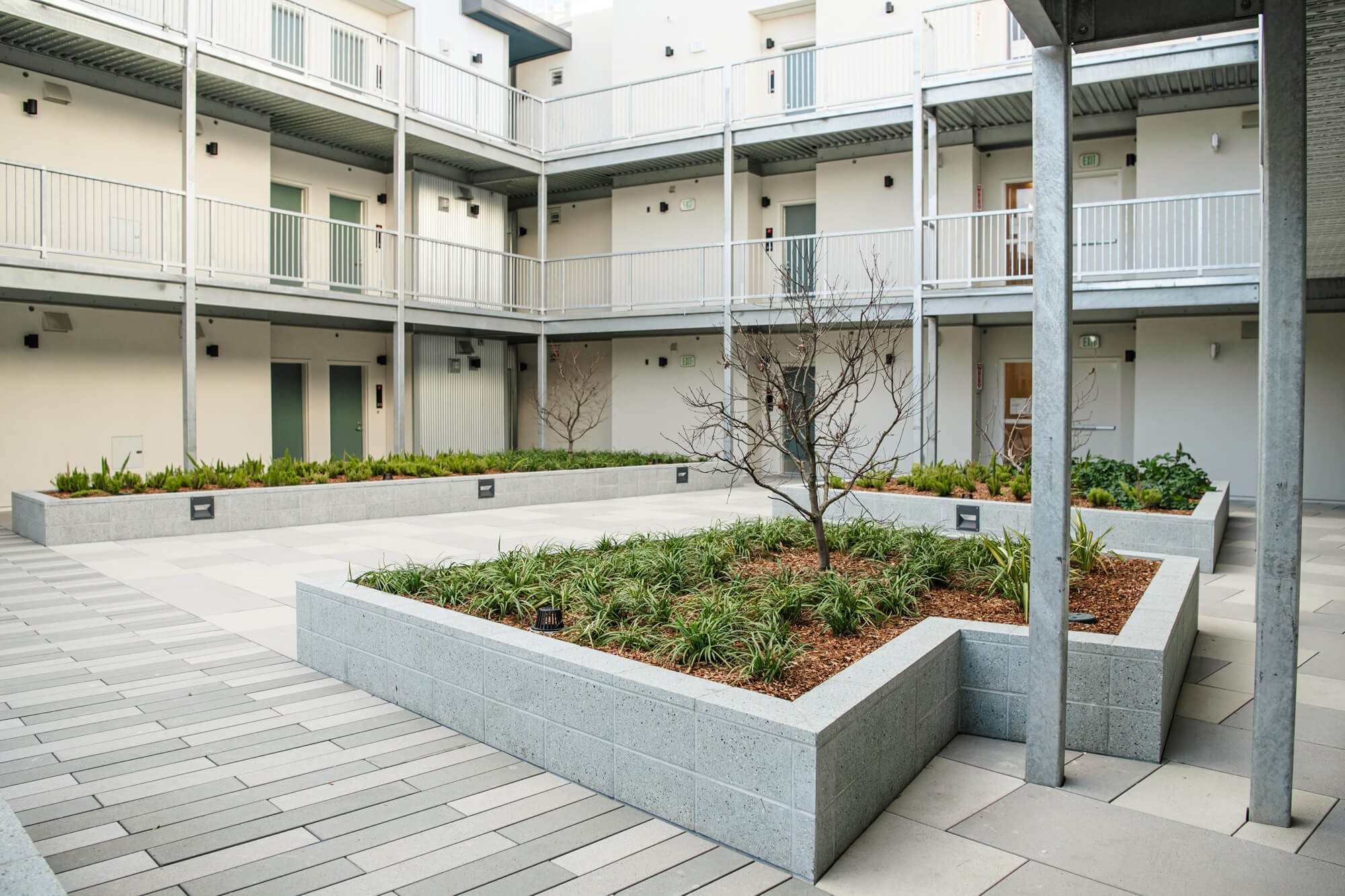 K&D Landscaping apartment courtyard with raised planters ornamental trees and low maintenance landscaping duplicate 1