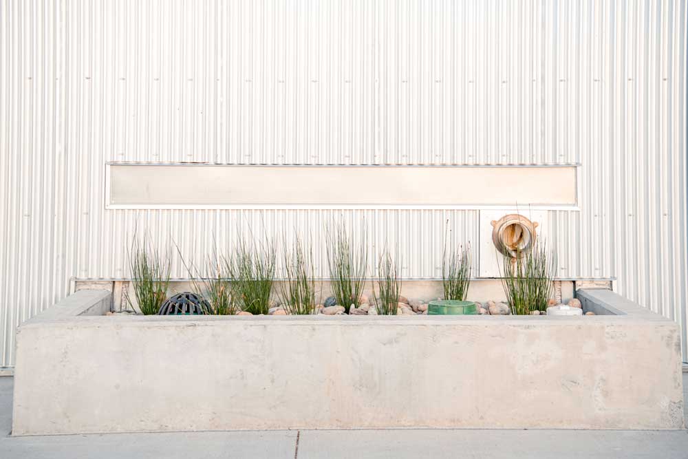 K&D Landscaping apartment courtyard with raised planters ornamental trees and low maintenance landscaping