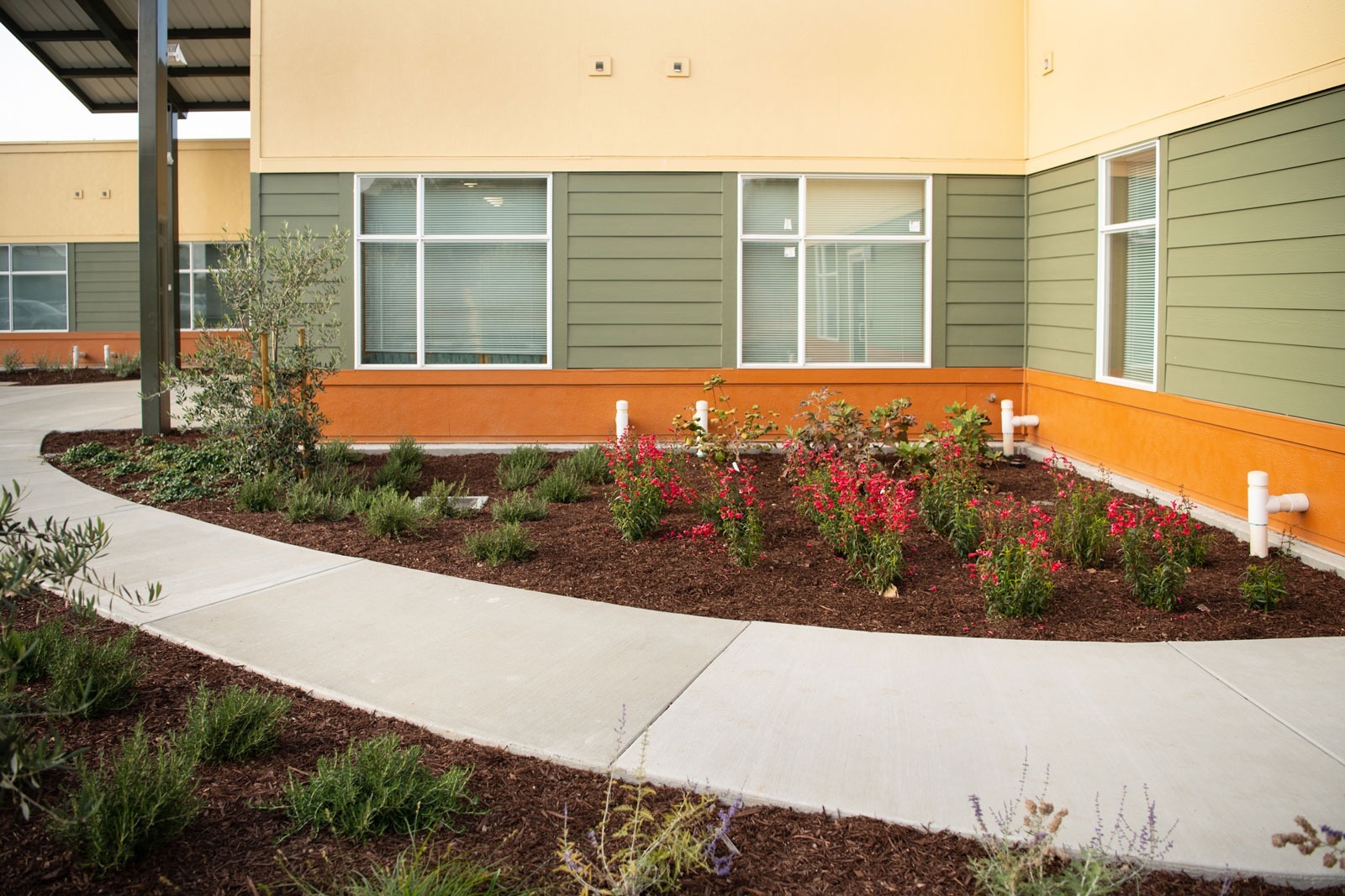 K&D Landscaping commercial building exterior with mulch planting bed containing native shrubs and concrete entry area